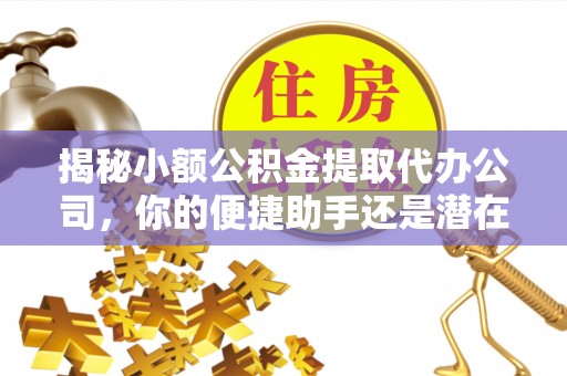 安吉揭秘小额公积金提取代办公司，你的便捷助手还是潜在风险？